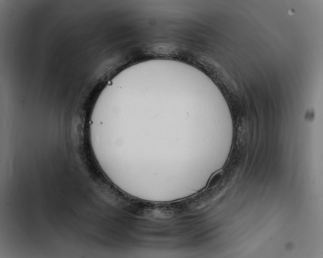 X0000103330739200809261200