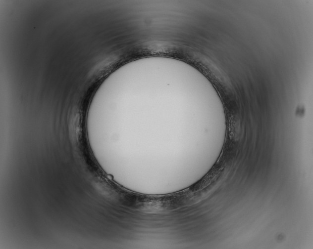 X0000103330740200809261200