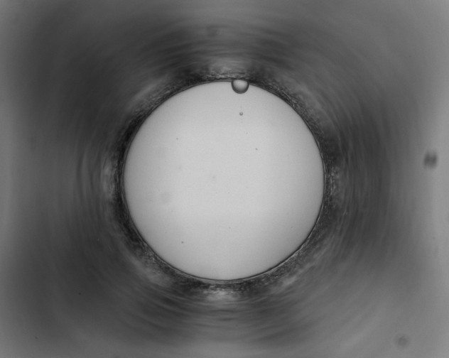 X0000103330741200809261200