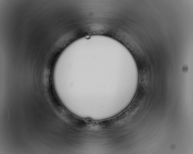 X0000103330742200809261200