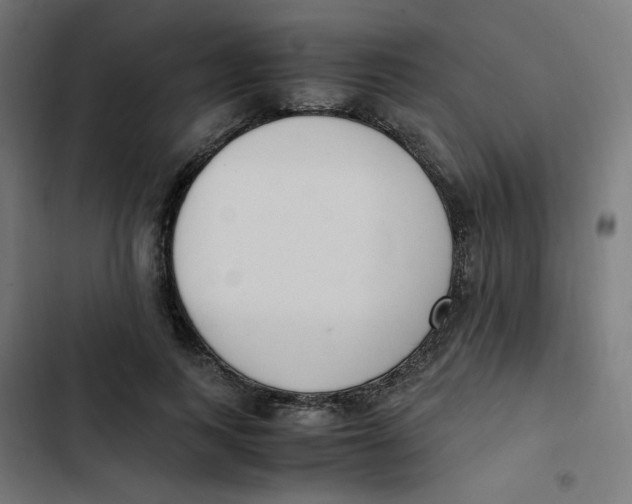 X0000103330743200809261200