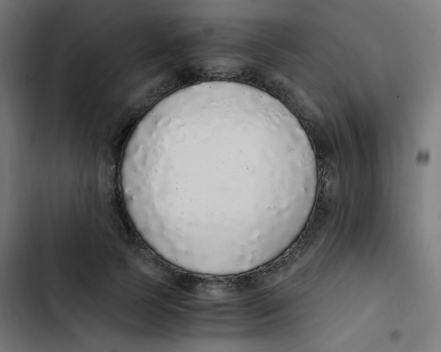 X0000103330745200809261200