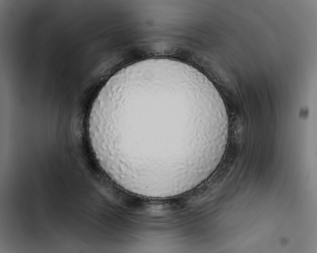 X0000103330746200809261200