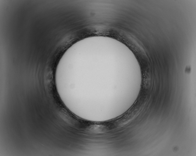 X0000103330748200809261200