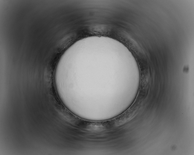 X0000103330749200809261200