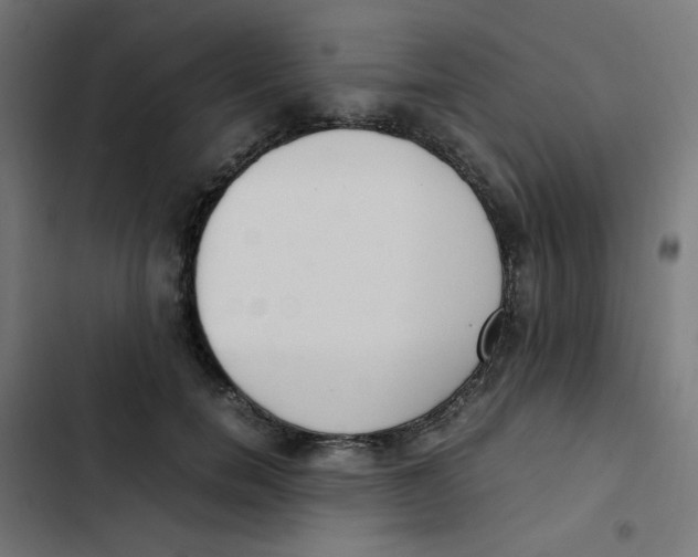 X0000103330750200809261200