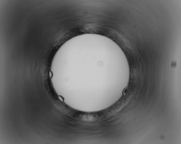 X0000103330751200809261200