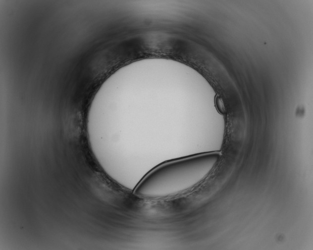 X0000103330752200809261200