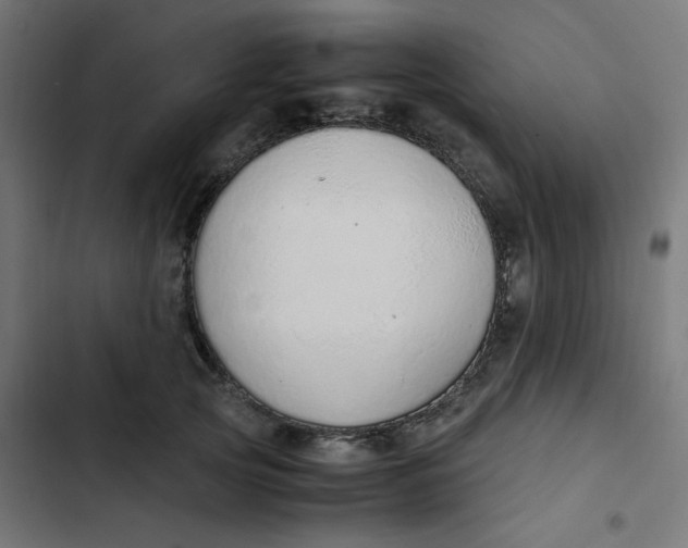 X0000103330753200809261201