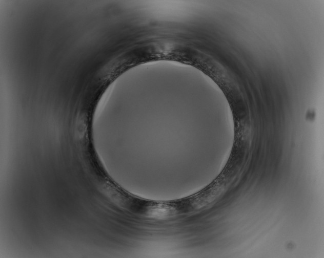 X0000103330754200809261201