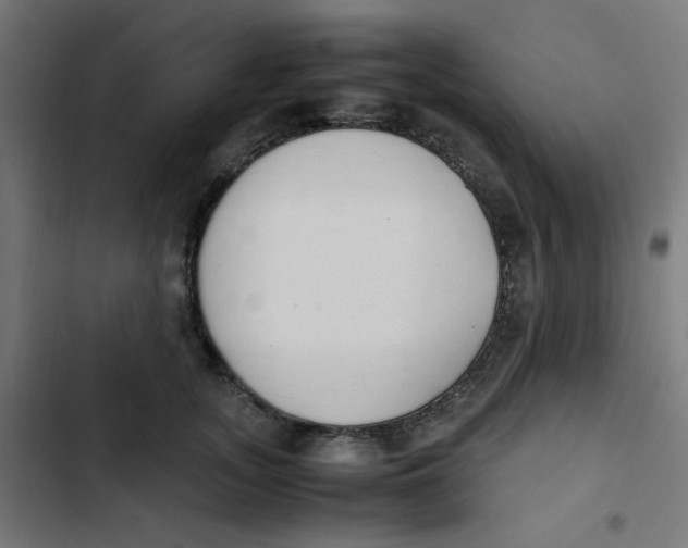 X0000103330755200809261201