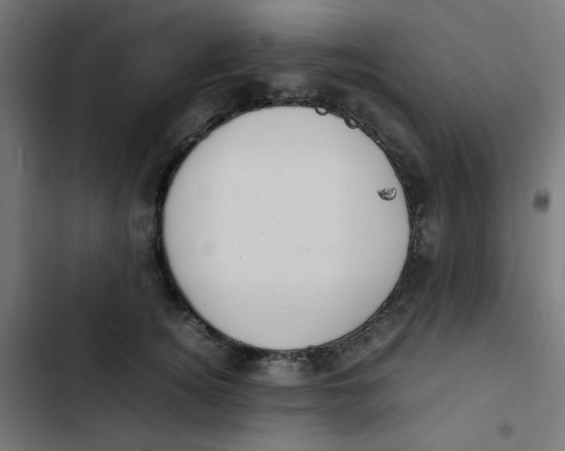 X0000103330756200809261201