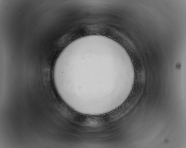 X0000103330757200809261201