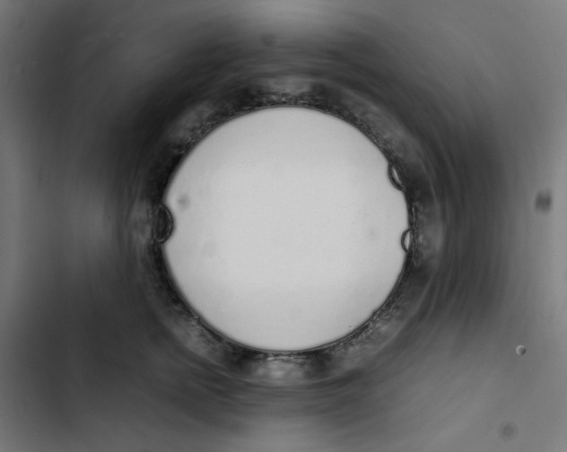 X0000103330758200809261201