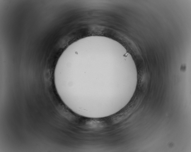 X0000103330759200809261201