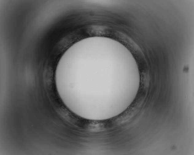 X0000103330760200809261201