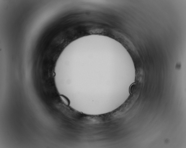 X0000103330763200809261201