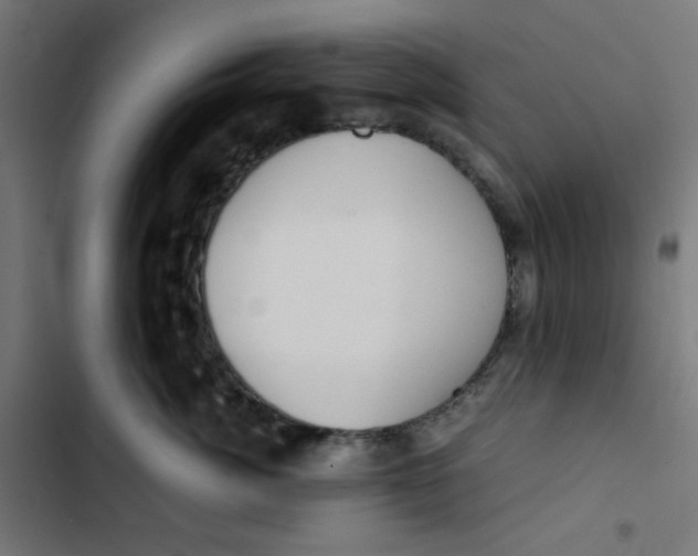 X0000103330764200809261201