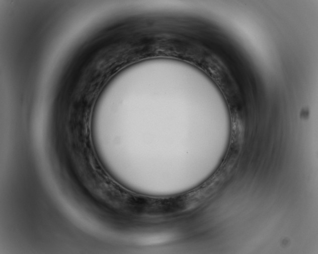 X0000103330765200809261201