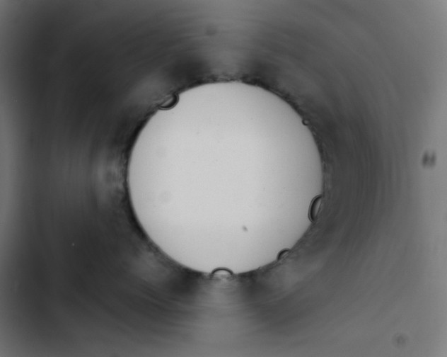 X0000103330768200809261201