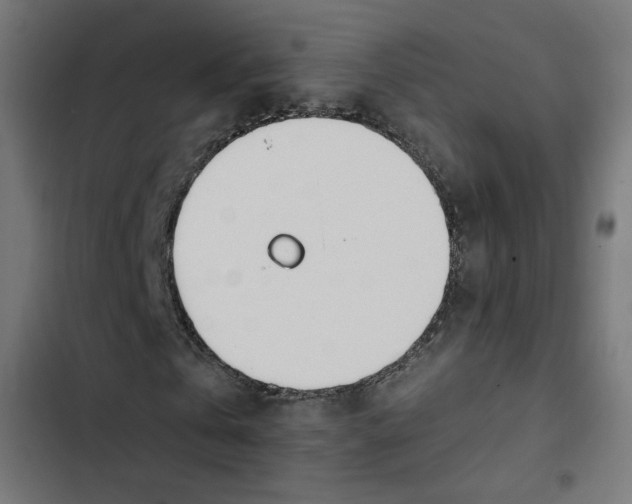 X0000103330769200809261200