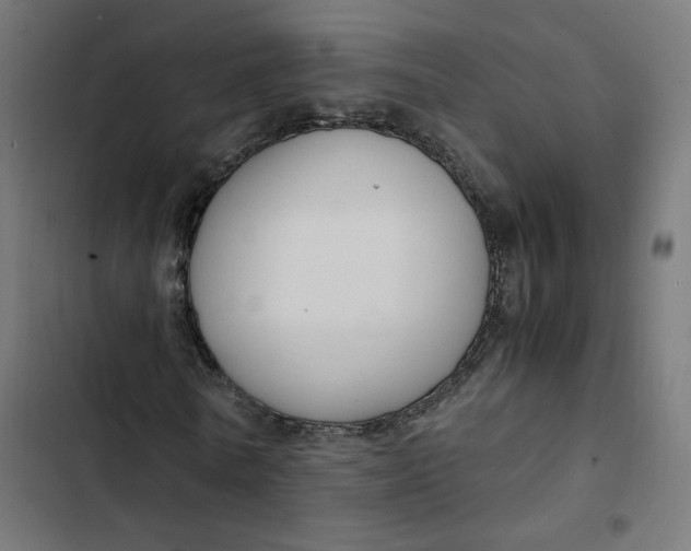 X0000103330770200809261200