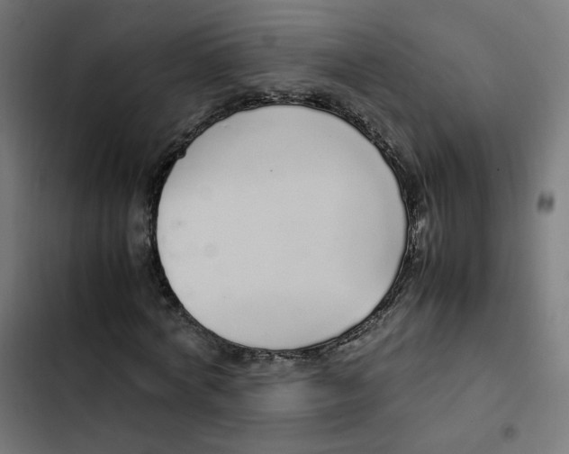 X0000103330772200809261200