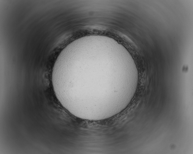 X0000103330774200809261200