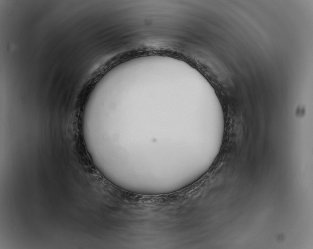 X0000103330776200809261200