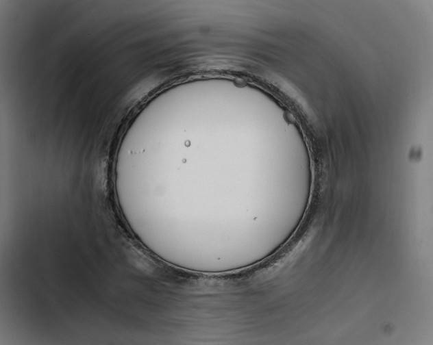 X0000103330777200809261200