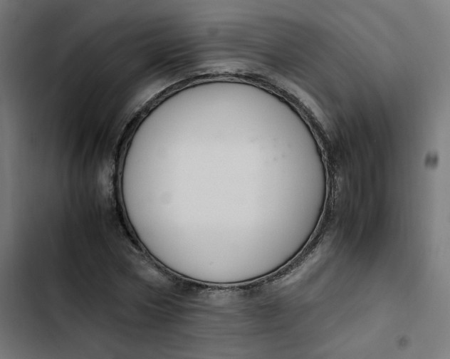 X0000103330778200809261200