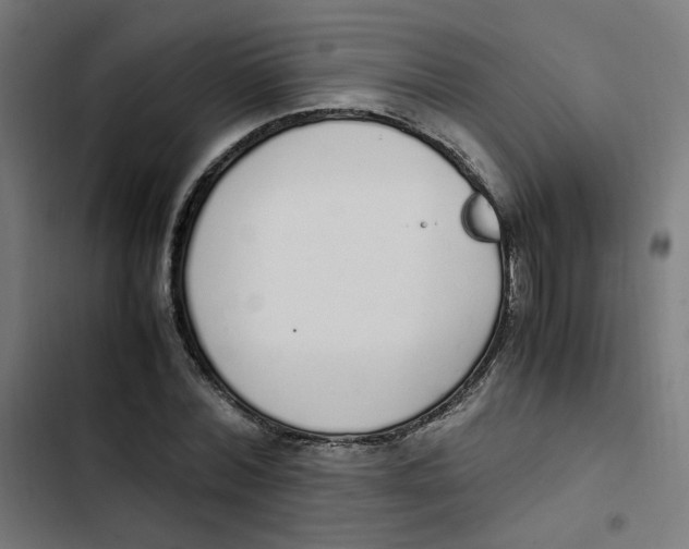 X0000103330780200809261200