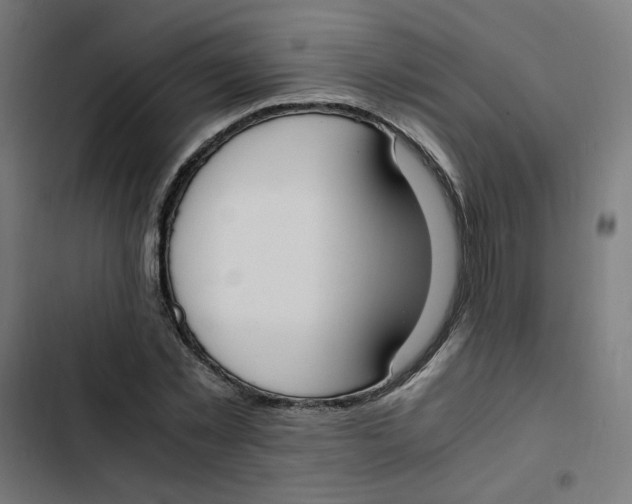 X0000103330781200809261200