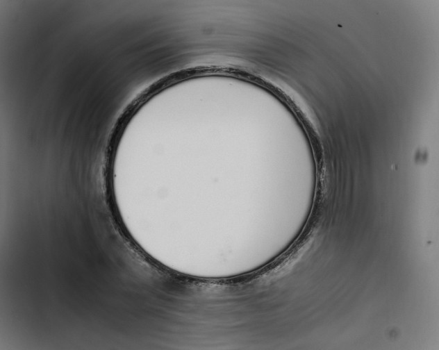 X0000103330783200809261200