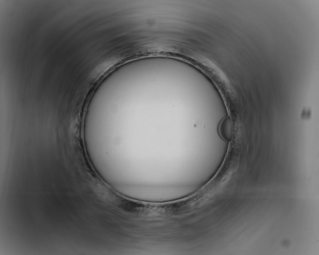 X0000103330785200809261200