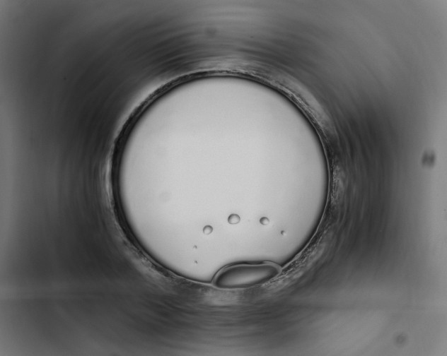 X0000103330788200809261200