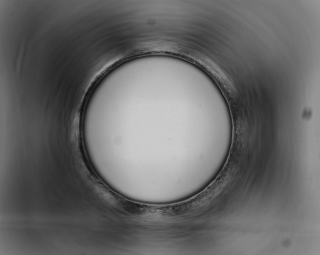 X0000103330790200809261200