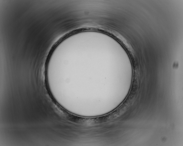 X0000103330791200809261200