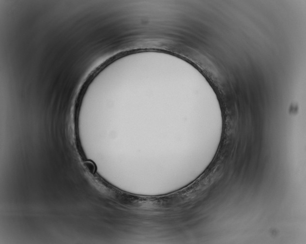 X0000103330792200809261200