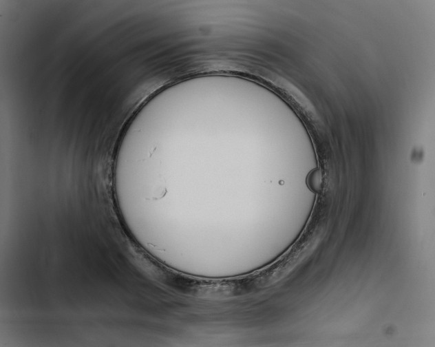 X0000103330793200809261200