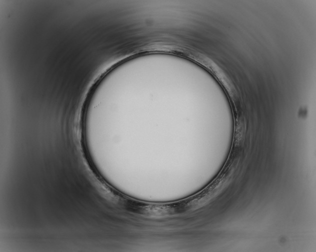 X0000103330795200809261200