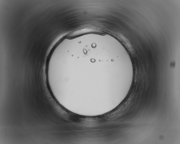 X0000103330796200809261200