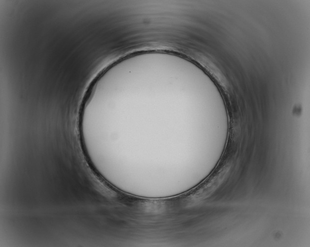 X0000103330797200809261200