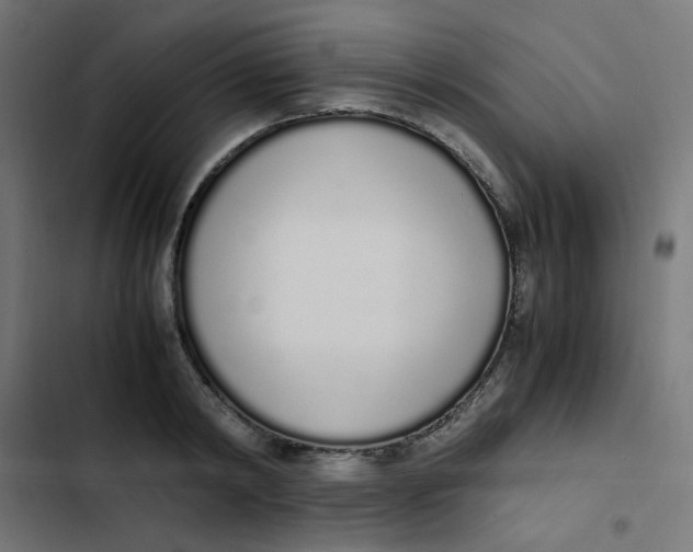 X0000103330798200809261200