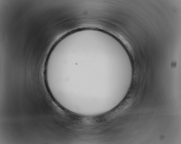 X0000103330799200809261200