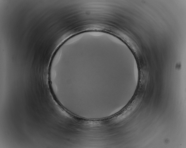 X0000103330802200809261200