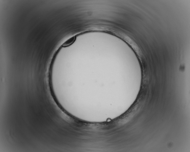 X0000103330803200809261200