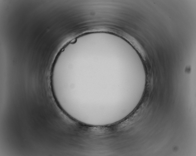 X0000103330805200809261200