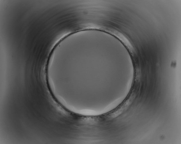 X0000103330806200809261159