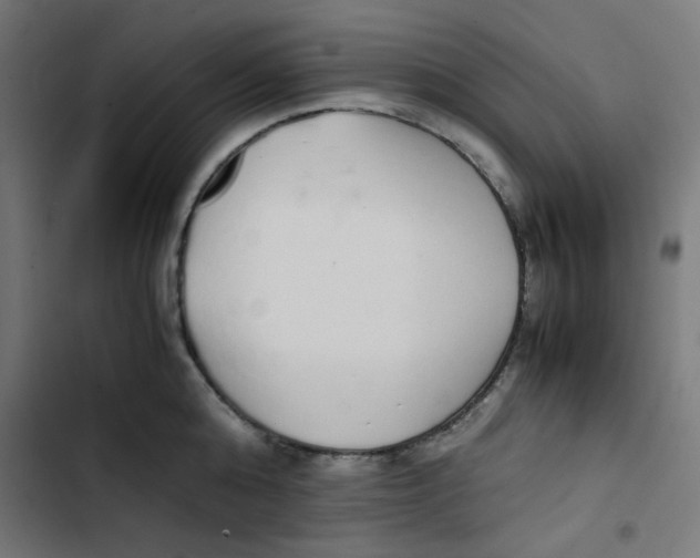 X0000103330808200809261159